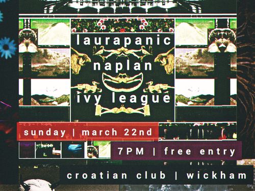 laurapanic | naplan | ivy league